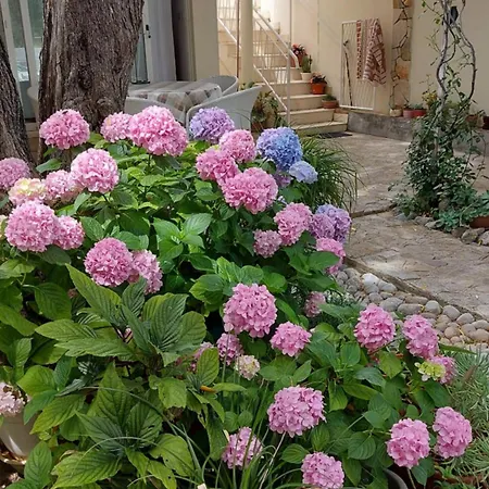 Apartment Pehar Orebic Exterior photo