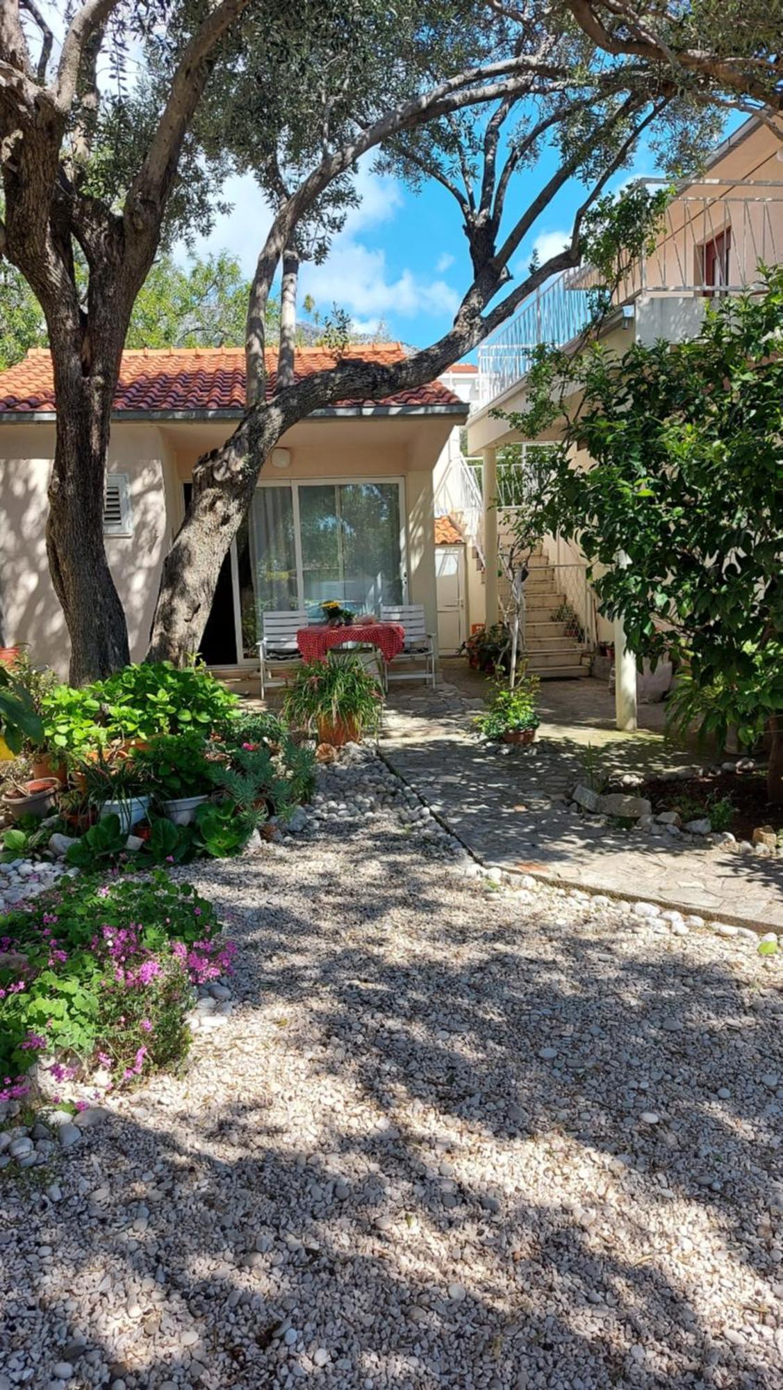 Pehar Apartment Orebic